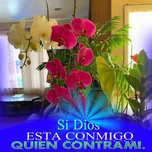 Meet your Posher, Sulma